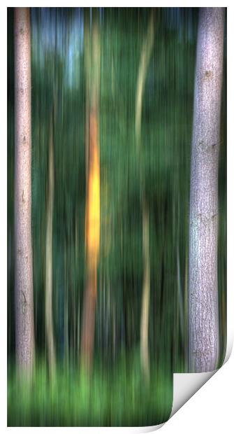 Summer Solstice Print by Mike Sherman Photog