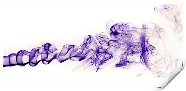 Purple Haze Print by Mike Sherman Photog