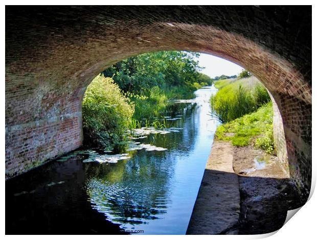 Melbourne Canal Head, Pocklington Canal Print by Terry Senior