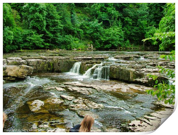 Aysgarth Falls top flight of the waterfalls Print by Terry Senior