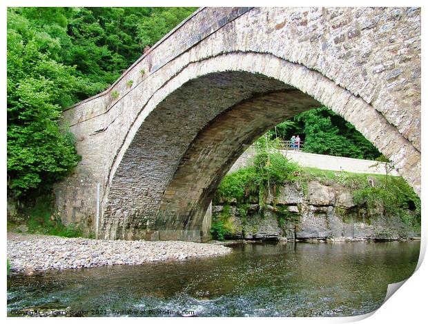 Bridge over the River Ure at Aysgarth Falls in the Print by Terry Senior