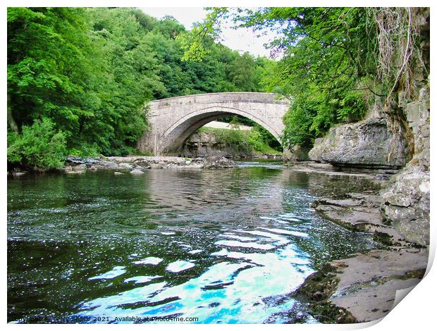 Looking towards the Bridge at Aysgarth on the Rive Print by Terry Senior