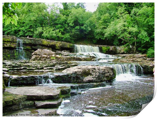 Top flight of Aysgarth Falls on the River Ure in t Print by Terry Senior