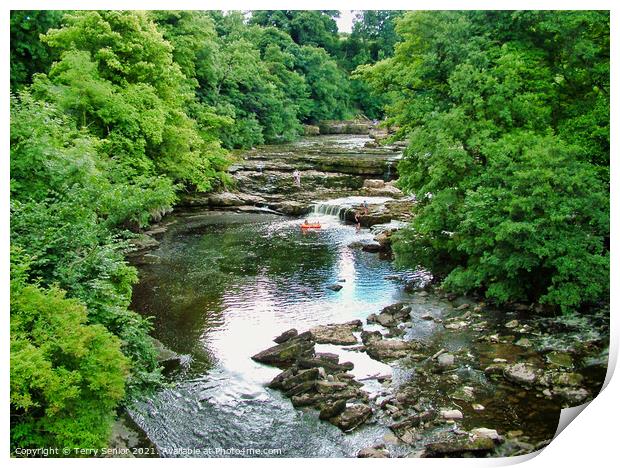 View from the Bridge at Aysgarth Falls in Yorkshir Print by Terry Senior