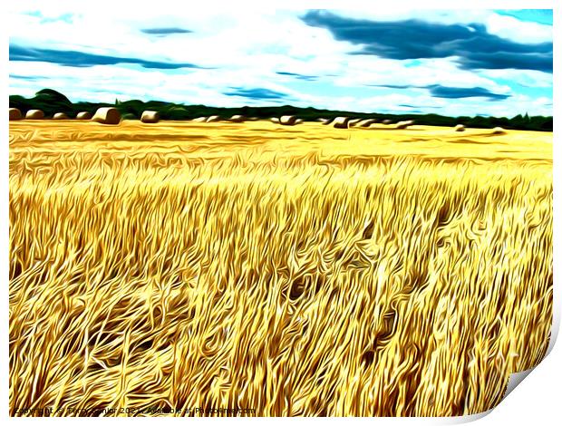 Hay-Ho Airbrushed Corn field Print by Terry Senior