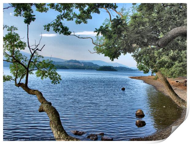 HDR image of a lake in the Lake District Cumbria  Print by Terry Senior