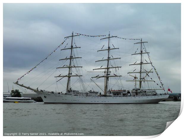 Dar Mlodziezy three mast Tall Ship on the River Thames at Greenwich Regatta Print by Terry Senior