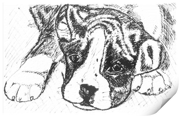 Boxer Pup Drawing in Black Ink Print by Terry Senior