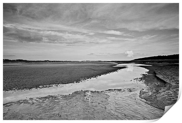 Time for Reflection in Holkham Print by Paul Macro