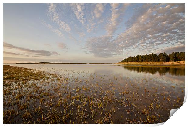 High Tide Reflections at Holkham Print by Paul Macro