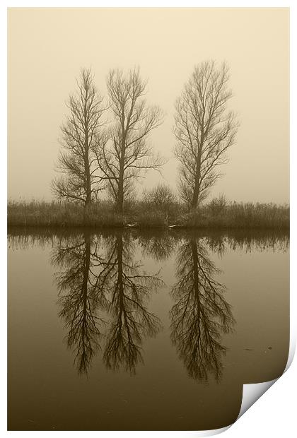 Misty Trees on the Norfolk Broads Print by Paul Macro