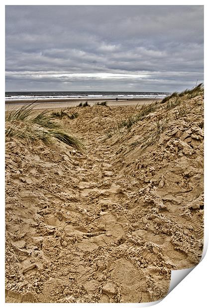 Pathway to the sea Print by Paul Macro