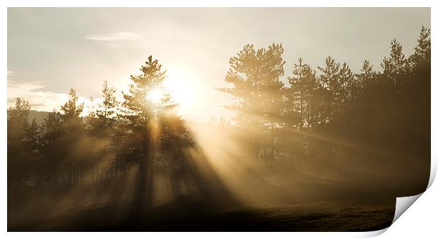 Sunrise bursting through trees and mist Print by Ian Middleton