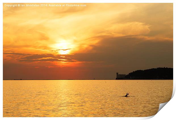 Sunset over Trieste Bay Print by Ian Middleton