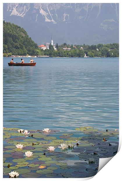 Lake Bled, Slovenia Print by Ian Middleton