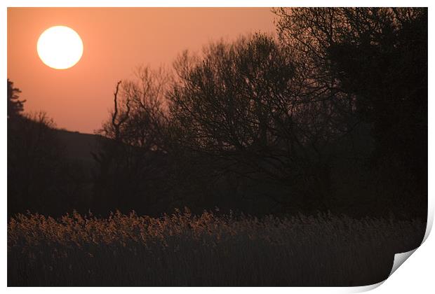 Sunset in Chilbolten, Hampshire, England. Print by Ian Middleton