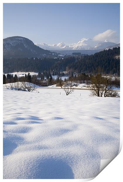 Bohinjnska Bistrica, Triglav National Park , Slove Print by Ian Middleton