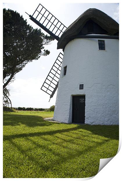 Tacumshane windmill Print by Ian Middleton