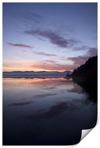 Cerknica lake at dawn, Notranjska, Slovenia Print by Ian Middleton