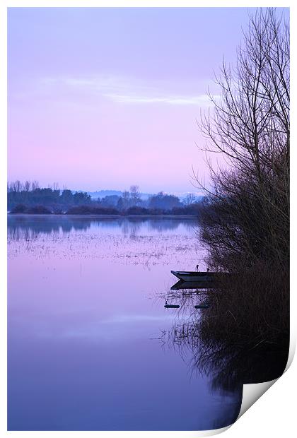 Cerknica lake at dawn, Notranjska, Slovenia Print by Ian Middleton