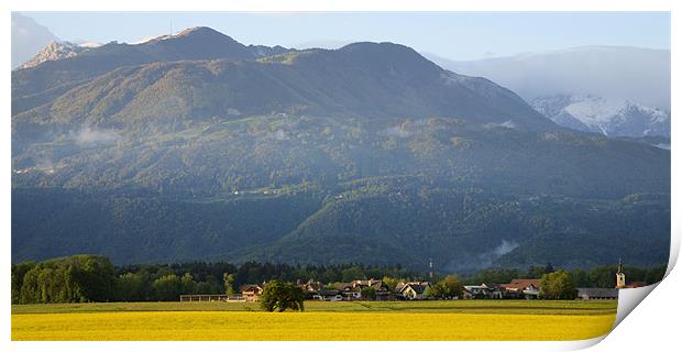 rapeseed field with Kamnik Alps Print by Ian Middleton