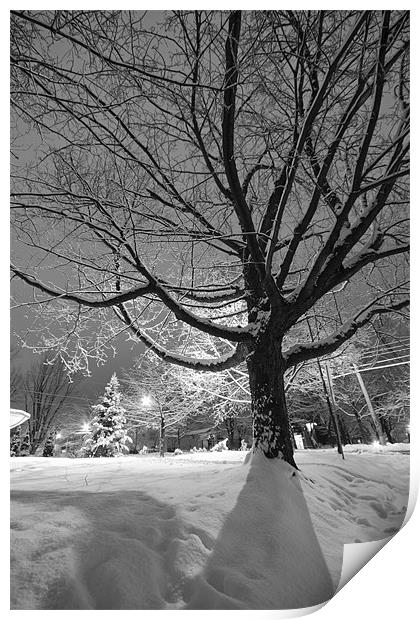 Tree and snow Print by Jean-François Dupuis