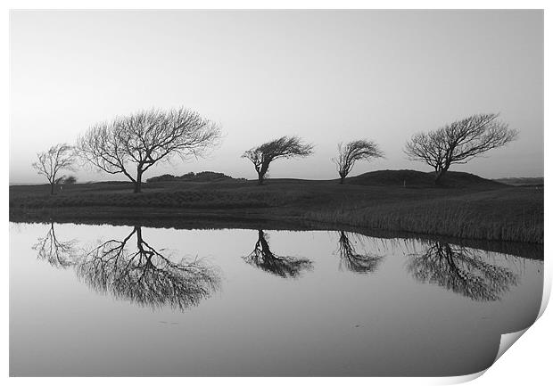 Black and White Landscape Reflection Print by patrick dinneen