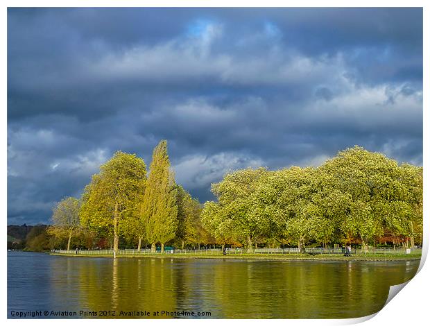 Riverside trees Print by Oxon Images