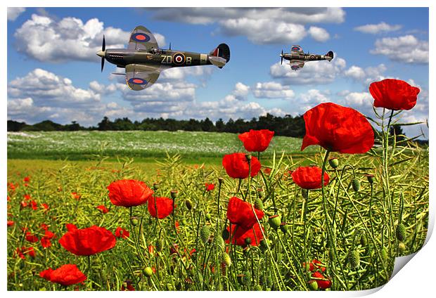 Spitfires and Poppy field Print by Oxon Images