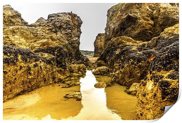 Perranporth rock pool Print by Oxon Images