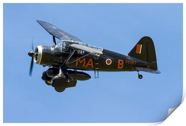 Westland Lysander Print by Oxon Images