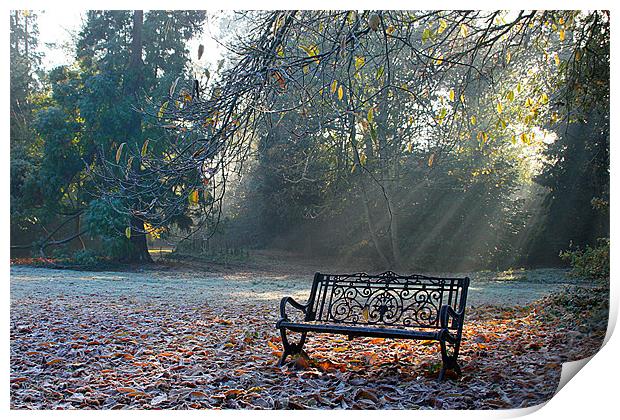 Bench Print by Oxon Images