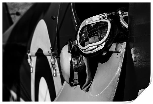 Tiger Moth Flying goggles Print by Oxon Images