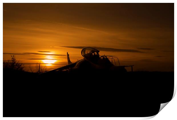 Harrier at sunset 2 Print by Oxon Images