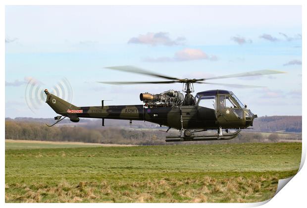 British Army Westland Scout Print by Oxon Images