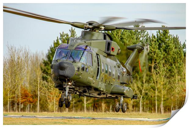 RAF Merlin Print by Oxon Images