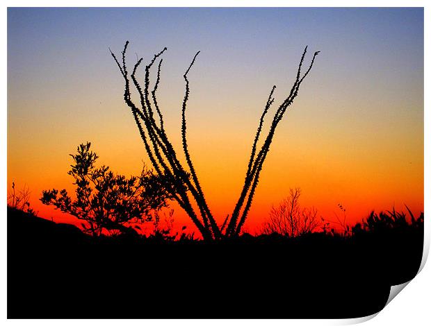 Silhouette at Sunset Print by Viraj Nagar