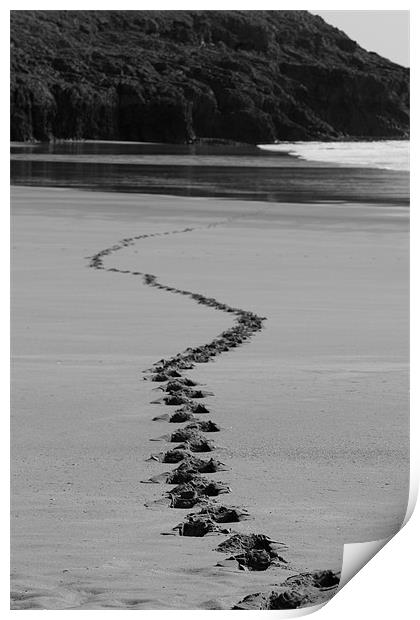 Footsteps Print by geraint jones