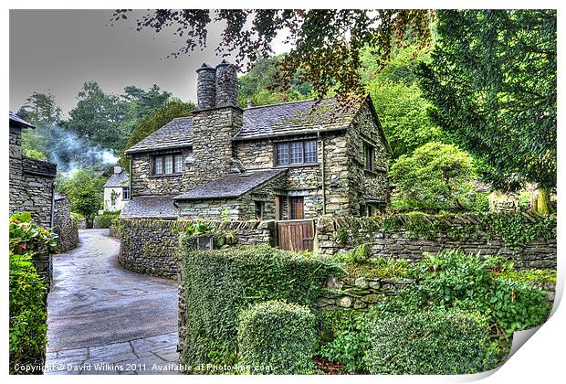 Lake District Cottage Print by David Wilkins