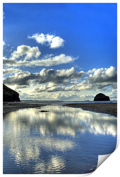 Reflections Print by David Wilkins