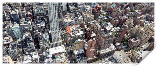 Manhattan Roofs Print by David Hare
