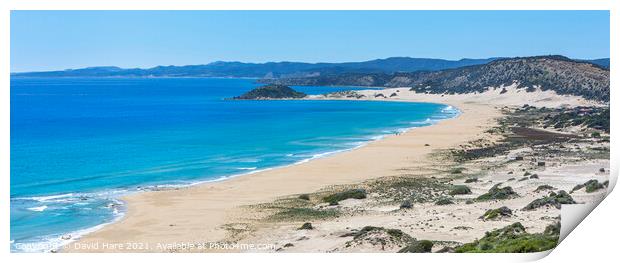 Cypriot Beach Panorama Print by David Hare