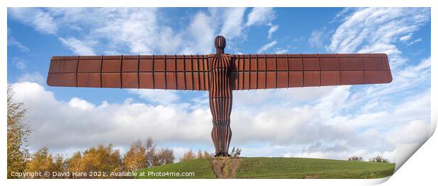 Angel of the North panorama Print by David Hare