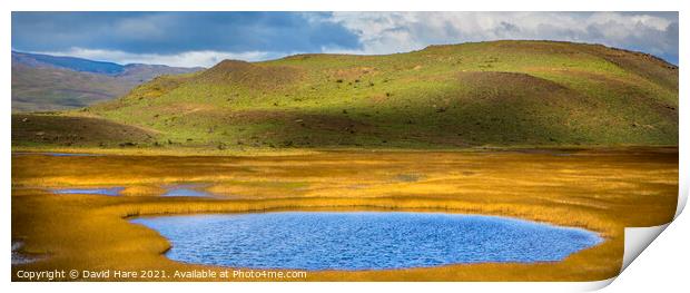 Patagonian Lakes Print by David Hare