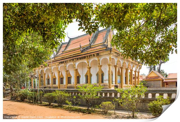 Wat Preah An Kau Saa Print by David Hare