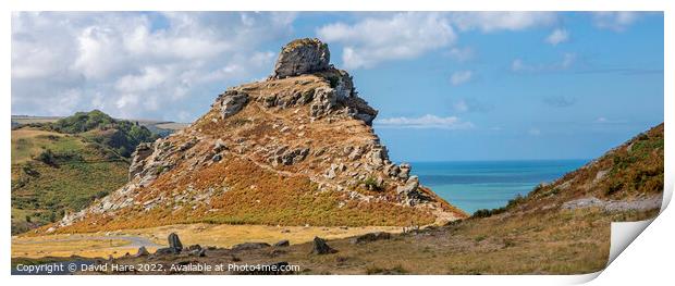 Valley of Rocks Print by David Hare