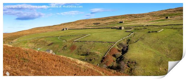 Stonesdale Banty Barns Print by David Hare