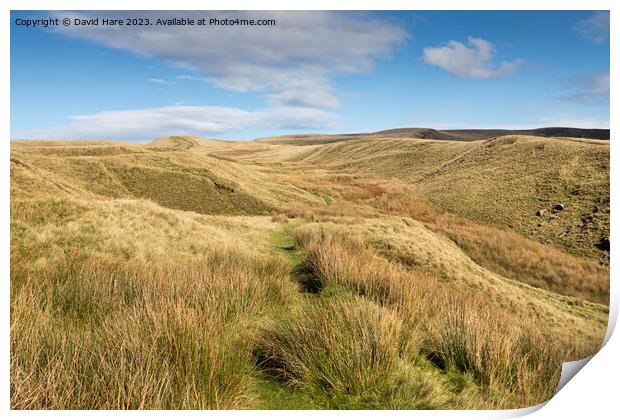 Nick O' Pendle Print by David Hare