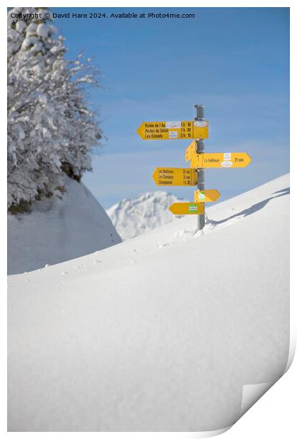 Piste Signs Print by David Hare