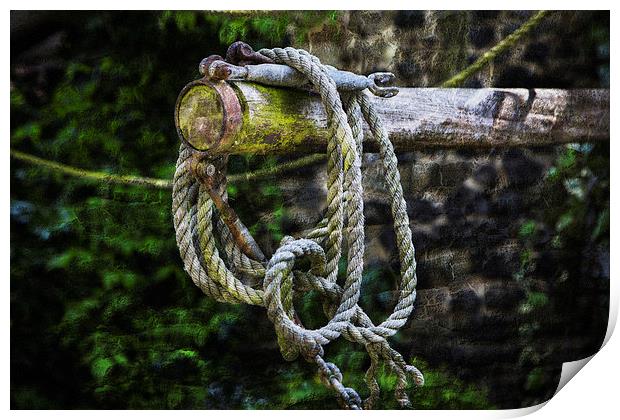 Old Rope in Colour Print by David Hare